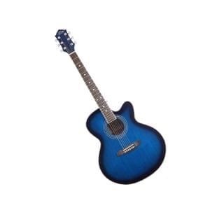 Trinity TNY Highway 42 CEBL Jumbo Acoustic Guitar